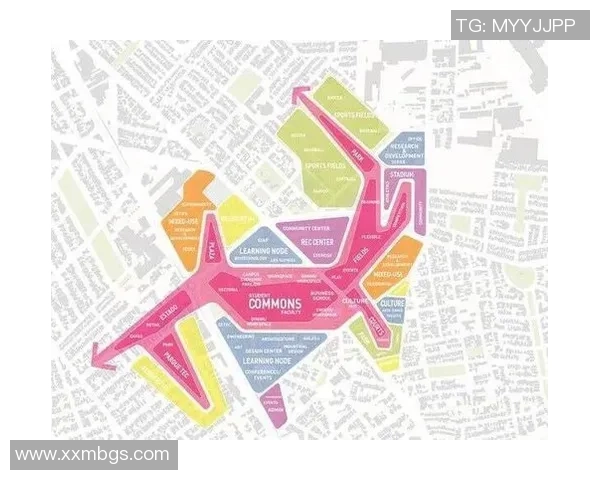 独家分析：成都排球队的灵活性对比